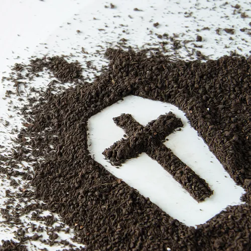 Final Journey Plan Plus artwork